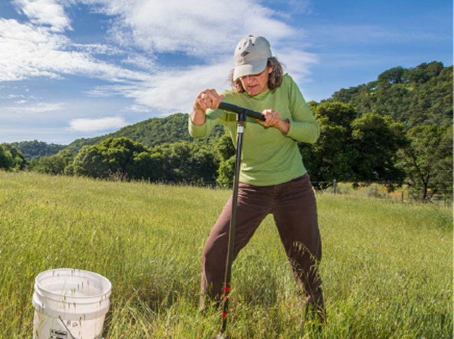 Woman digging up a soil sample in a field