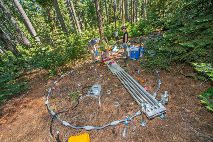 Two women setting-up a large circular apparatus on the ground in a forest clearing