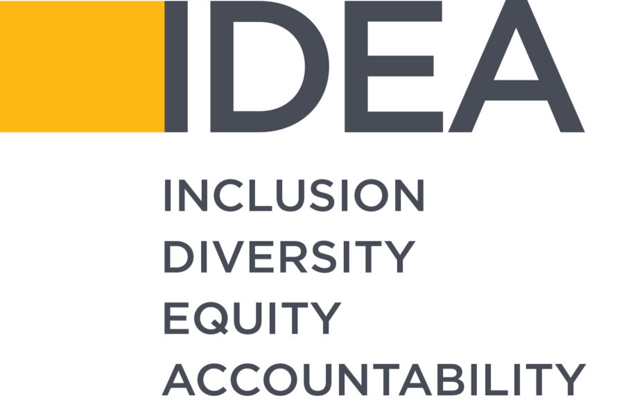 IDEA: Inclusion, Diversity, Equity, Accountability