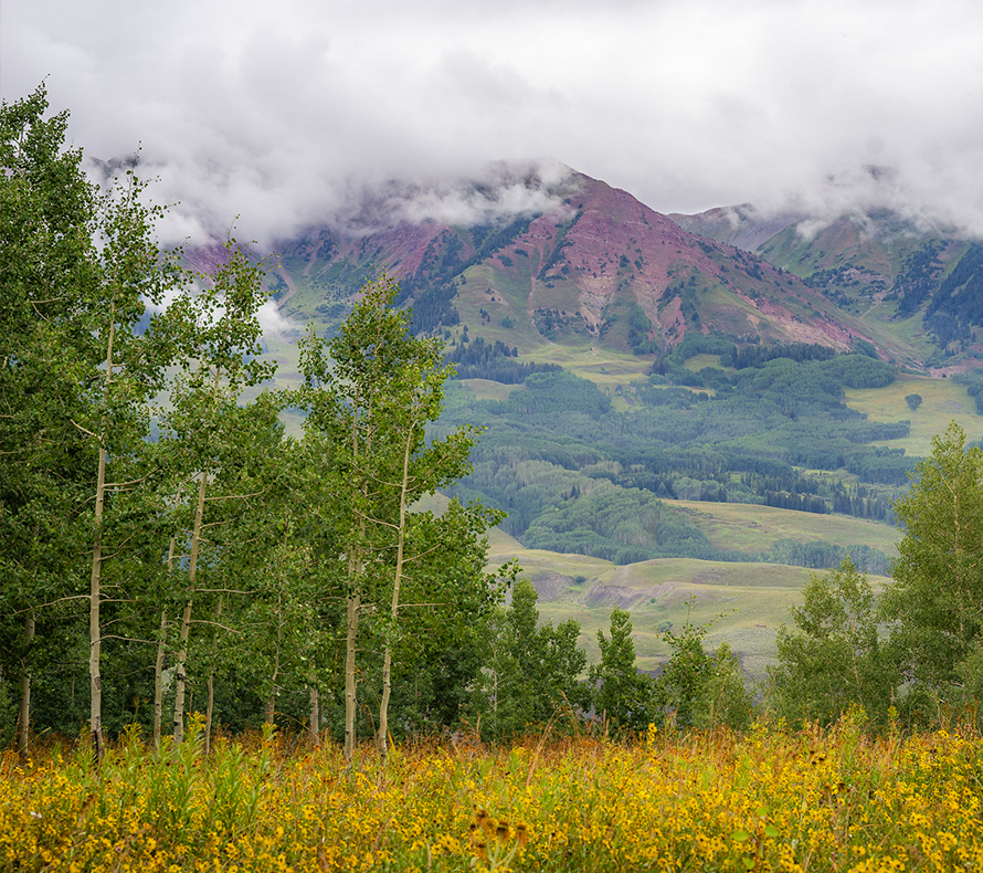 A beautiful mountain meadow surrounded by aspens, with distant peaks in the background