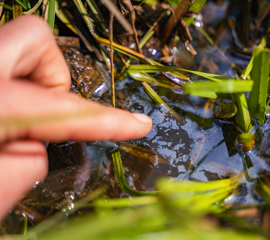 A close up of a finger pointing at a puddle of water that has an iridescent mineral sheen on the surface